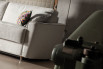 Petrucciani piping can be chosen in a matching or contrasting colour