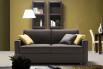 Jan 2-seater sofa bed