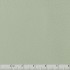 5055 Gris